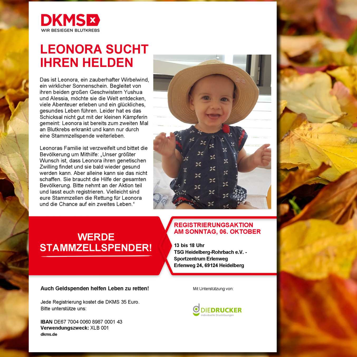 Leonora Sucht Ihren Helden